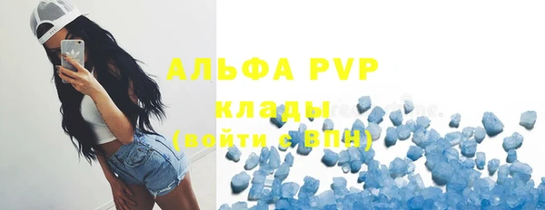 гашик Зеленокумск