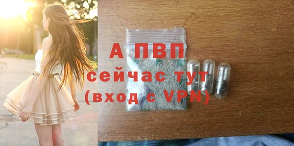гашик Зеленокумск